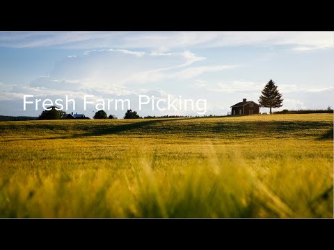Web开发全栈项目班21期P3 Agile团队项目——Fresh Farm Picking Proposal展示